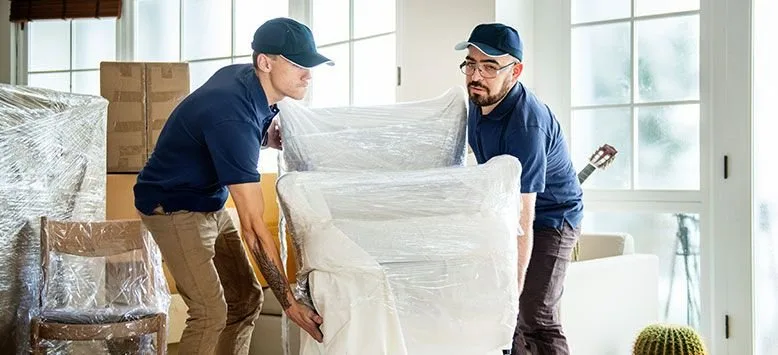Pt Movers photo 1