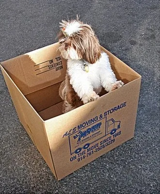Als Moving & Storage Co photo 3