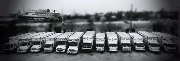 Excellent Quality Movers