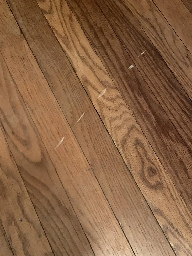 My Move INC photo 2