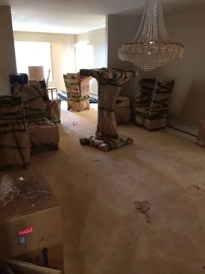 The Moving Doctor photo 3