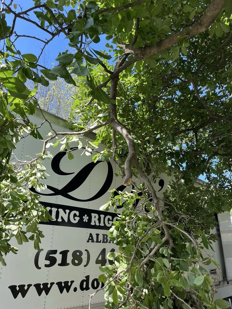 Don's Moving & Storage INC