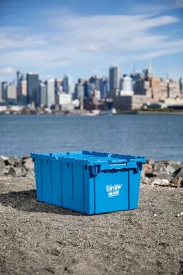 Bin It Moving photo 5