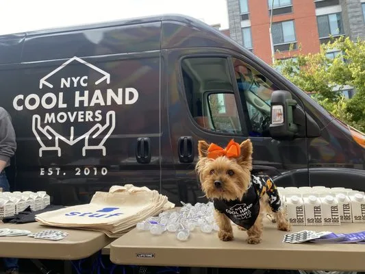 Cool Hand Movers LLC